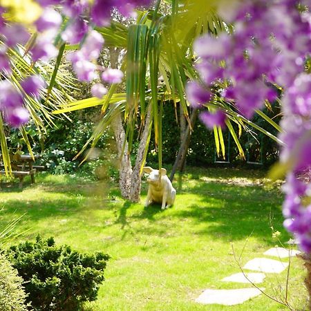 La Cabane D'Arbolateia Piscine & Spa 比达尔 外观 照片