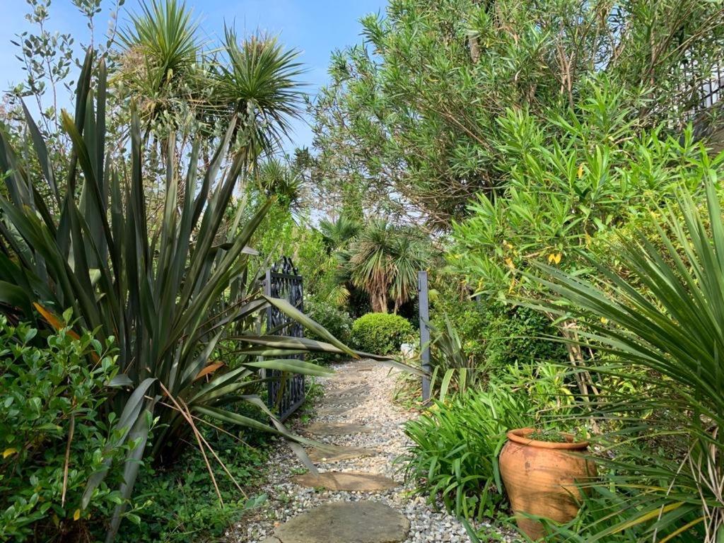 La Cabane D'Arbolateia Piscine & Spa 比达尔 外观 照片