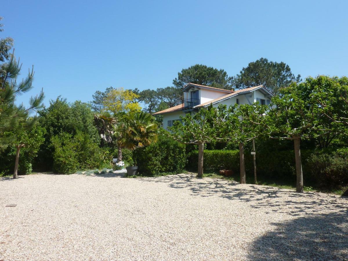 La Cabane D'Arbolateia Piscine & Spa 比达尔 外观 照片
